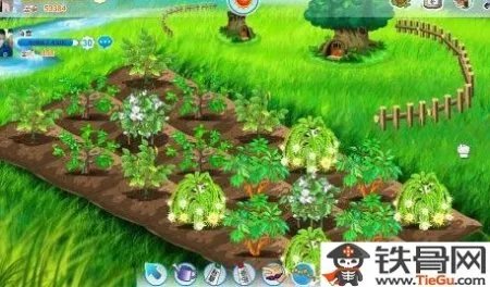 QQ农场免费刷狗粮攻略