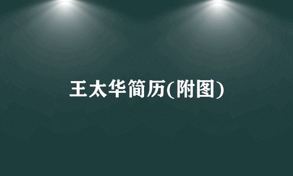 王太华简历(附图)