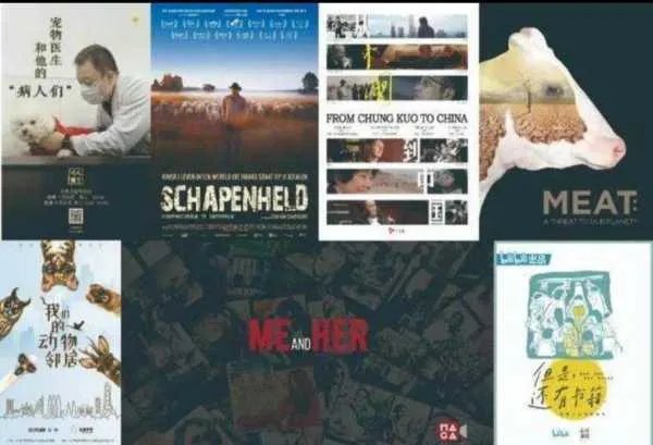 第26届上海电视节会在哪些平台播出?