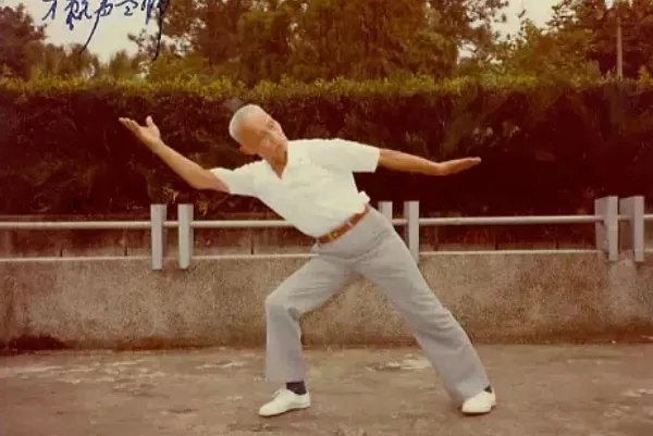 中国十大武术宗师:叶问上榜,他是功夫之王