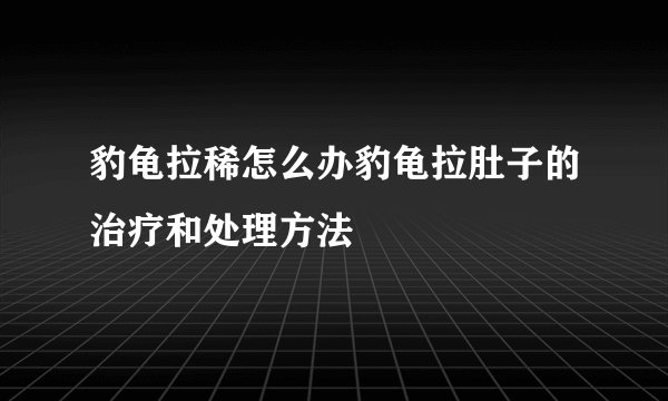 豹龟拉稀怎么办豹龟拉肚子的治疗和处理方法