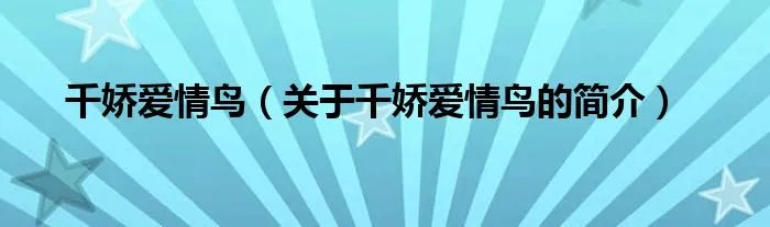 千娇爱情鸟(关于千娇爱情鸟的简介)