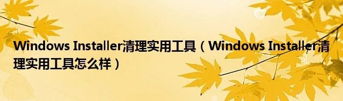 Windows Installer清理实用工具（Windows Installer清理实用工具怎么样）