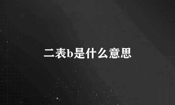 二表b是什么意思