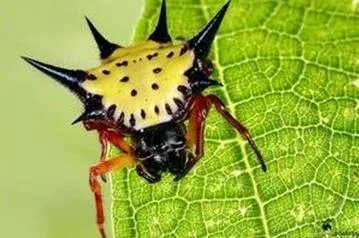 中石油5亿油款失踪真相 其夫早已辞职：属个人行为