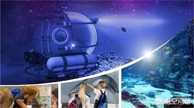 海昌不夜城有哪些项目？有适合全家玩的么？