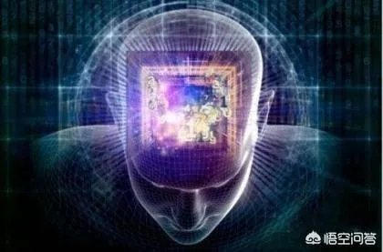 科学家成功复活死亡猪脑，意味着什么？