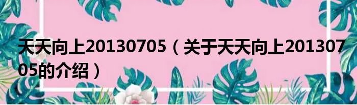 天天向上20130705(关于天天向上20130705的介绍)