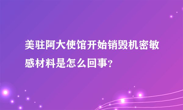 美驻阿大使馆开始销毁机密敏感材料是怎么回事？