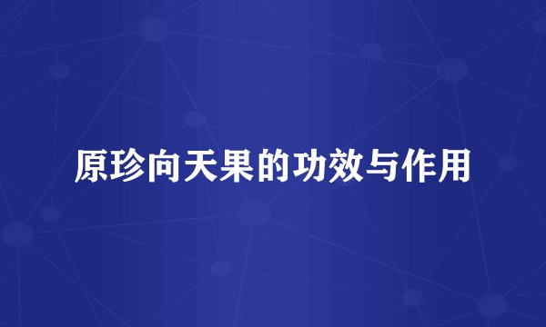 原珍向天果的功效与作用
