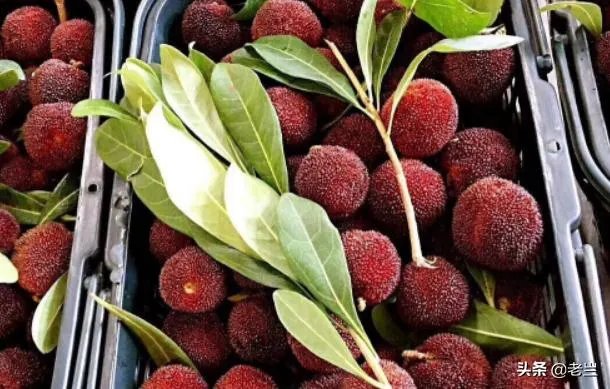 水果微商代理怎么做?