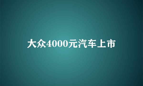 大众4000元汽车上市