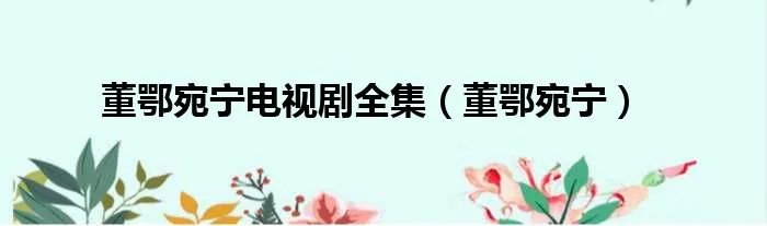 董鄂宛宁电视剧全集（董鄂宛宁）