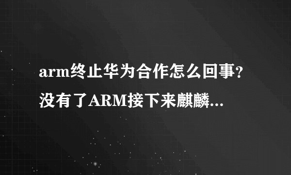 arm终止华为合作怎么回事?没有了ARM接下来麒麟芯片怎么办?