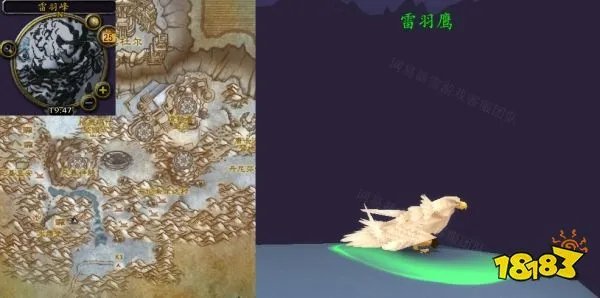 魔兽世界忠诚的伙伴任务怎么做 忠诚的伙伴任务全流程攻略