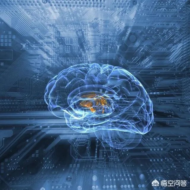 科学家成功复活死亡猪脑，意味着什么？