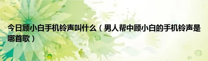 今日顾小白手机铃声叫什么（男人帮中顾小白的手机铃声是哪首歌）