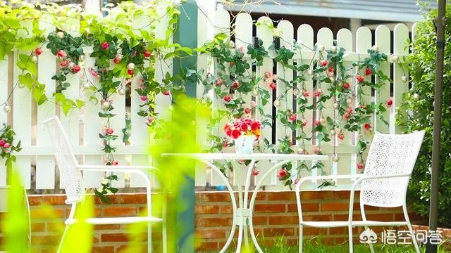 想去清迈.有好的民宿推荐吗？