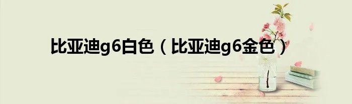 比亚迪g6白色（比亚迪g6金色）
