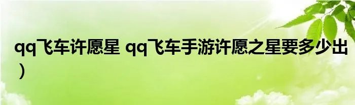 qq飞车许愿星 qq飞车手游许愿之星要多少出)