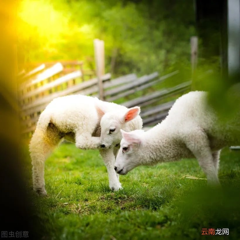 世界著名的十首纯音乐催眠曲 世界十大催眠曲音乐