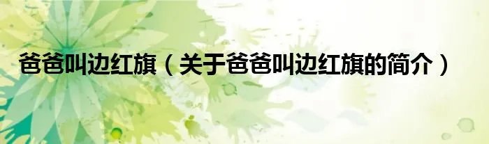 爸爸叫边红旗（关于爸爸叫边红旗的简介）