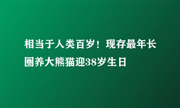 相当于人类百岁！现存最年长圈养大熊猫迎38岁生日
