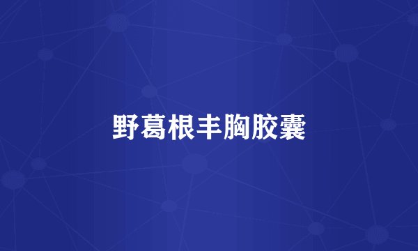 野葛根丰胸胶囊