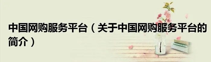 中国网购服务平台（关于中国网购服务平台的简介）