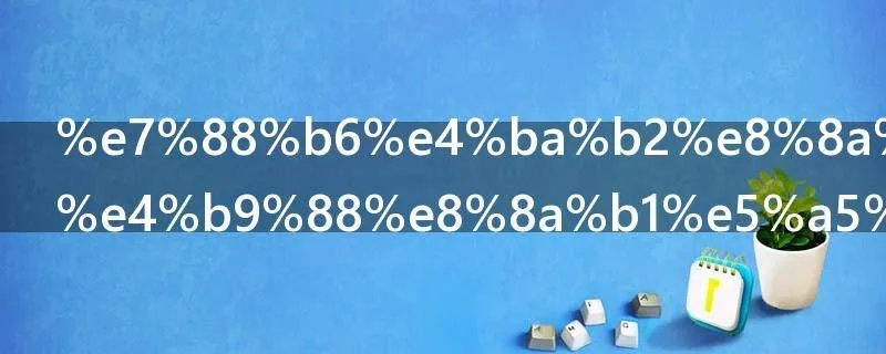 父亲节送什么花好