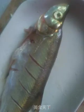 清蒸红腮鱼