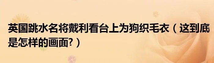 英国跳水名将戴利看台上为狗织毛衣（这到底是怎样的画面?）