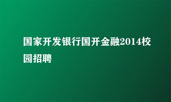 国家开发银行国开金融2014校园招聘