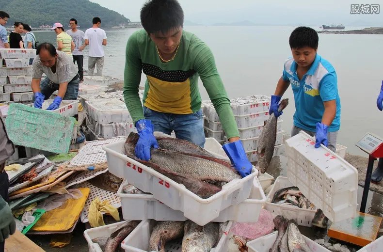 厄瓜多尔冷冻鲳鱼检出新冠病毒 海关采取紧急措施