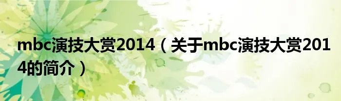 mbc演技大赏2014（关于mbc演技大赏2014的简介）