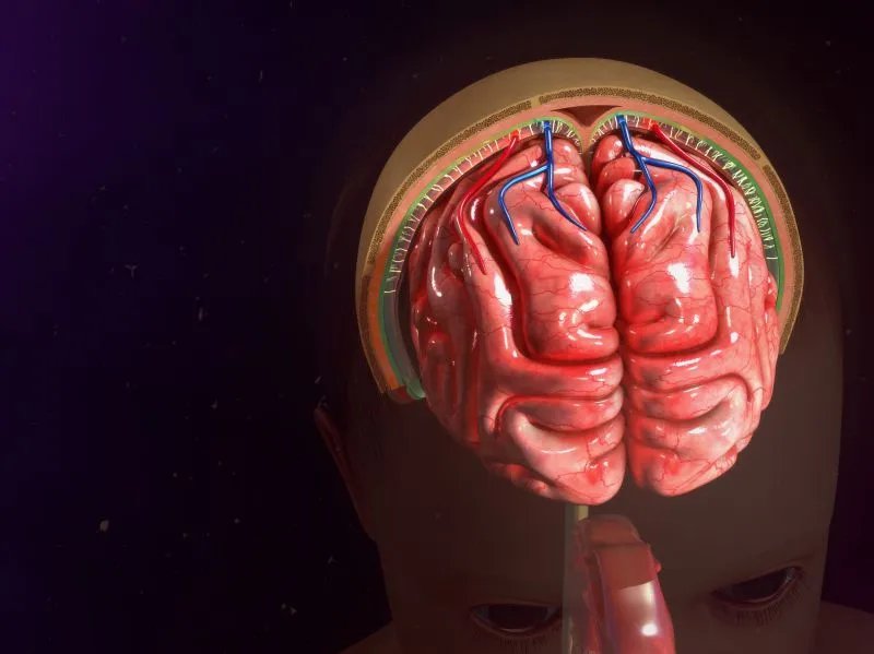 脑发育迟缓是脑瘫吗