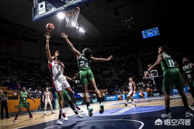 比利时女篮有多强