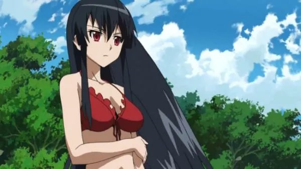 沈清辞柳云戟的小说叫什么?