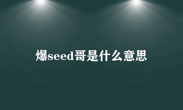 爆seed哥是什么意思
