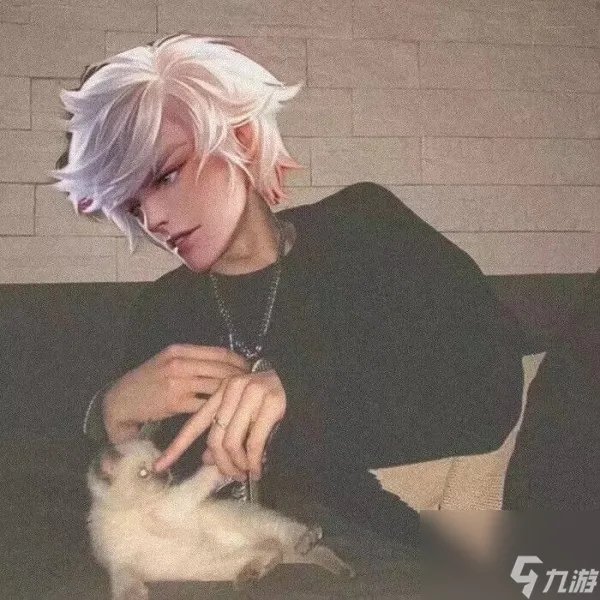 王者荣耀高清无水印接头图片大全