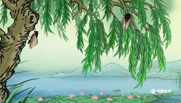 居高声自远非是藉秋风表达了作者怎样的感情