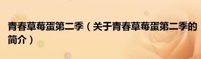 青春草莓蛋第二季（关于青春草莓蛋第二季的简介）