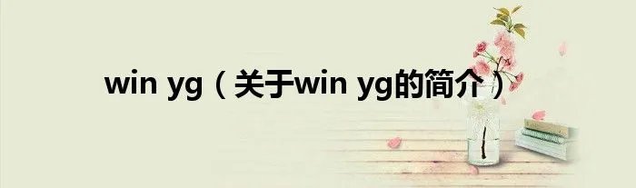 win yg（关于win yg的简介）