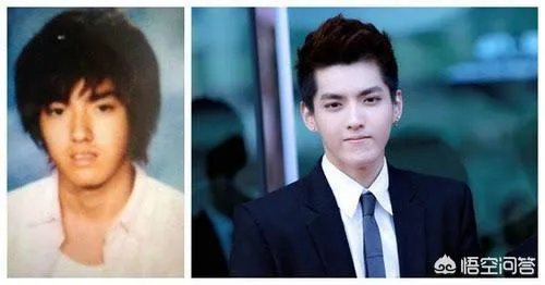 哪些女明星整过容？