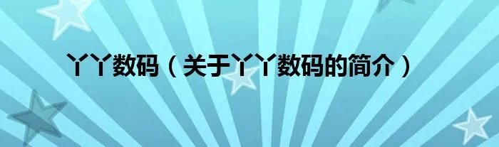 丫丫数码（关于丫丫数码的简介）