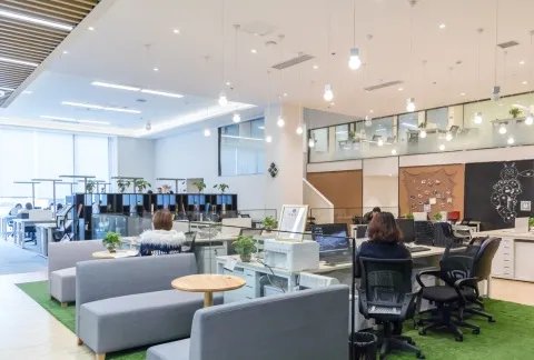 公司怎么登报注销