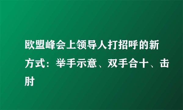 欧盟峰会上领导人打招呼的新方式:举手示意、双手合十、击肘