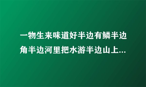 一物生来味道好半边有鳞半边角半边河里把水游半边山上来吃草打一个字