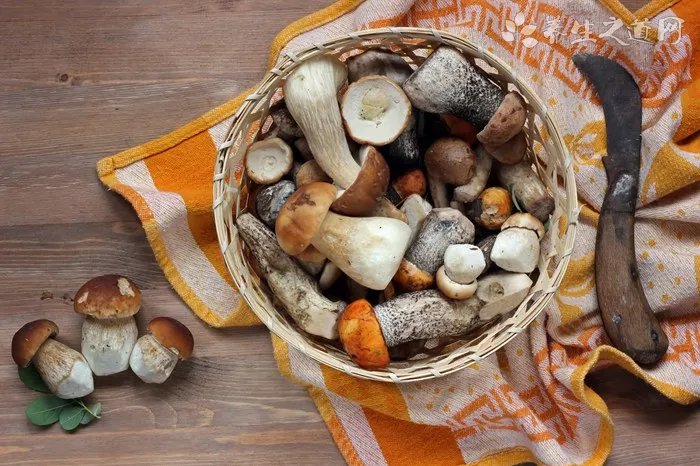 土工格栅每平米价格 土工格栅价格行情 土工格栅价格表