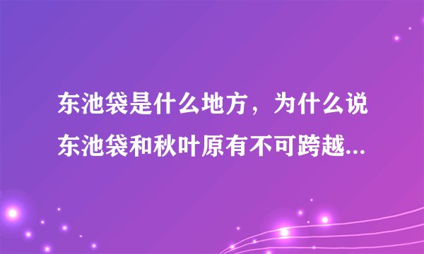 东池袋是什么地方，为什么说东池袋和秋叶原有不可跨越的障碍？